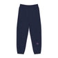 Embroidered Allstar Axis Sweatpants