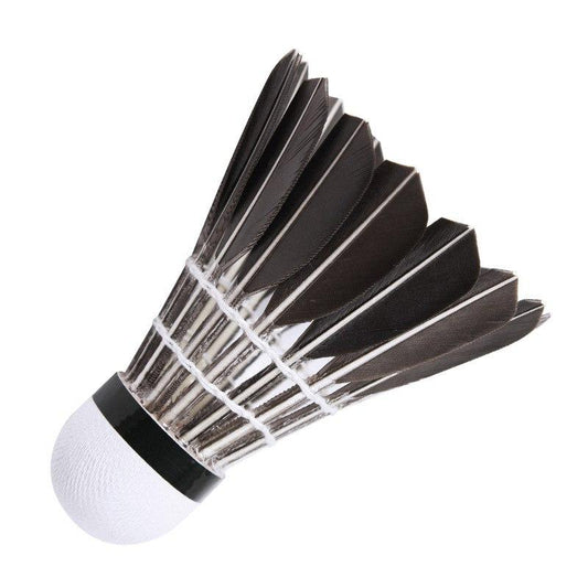 12-Piece Badminton Shuttlecock Set Durable Training Practice Birdies Tube Pack