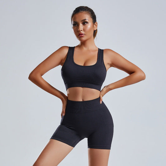 Women's Seamless Yoga Set Vest Shorts High-Waist Workout Activewear Outfit