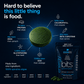 ENERGYbits® Spirulina | Large Bag